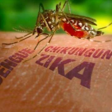 Bộ Y tế công bố kết quả xét nghiệm 83 trường hợp nghi nhiễm virus Zika