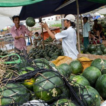 Xuất khẩu rau quả: 60% bán cho Trung Quốc