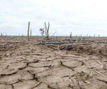 Khoảng 60 triệu chịu ảnh hưởng của El Nino