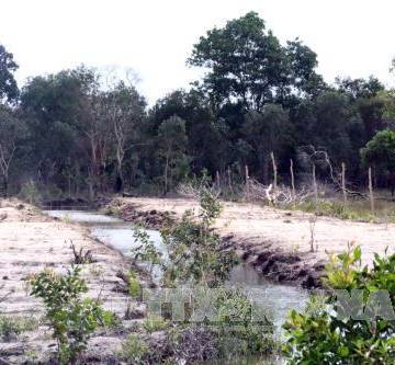 Kiên Giang tạm dừng cho thuê môi trường rừng trên đảo Phú Quốc