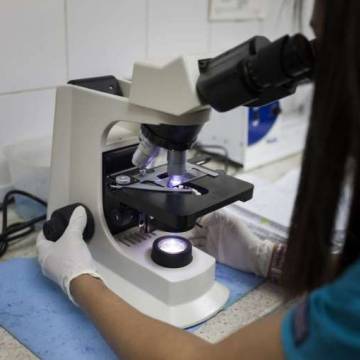Một ca nhiễm virus Zika qua đường tình dục