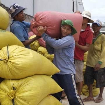 Doanh nghiệp xuất khẩu đau đầu vì sốt giá gạo