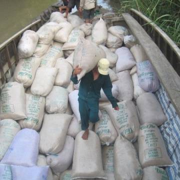 Xuất khẩu gạo giảm hơn 16%