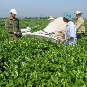 Các doanh nghiệp tỉnh Lâm Đồng tiếp cận thị trường Nhật Bản