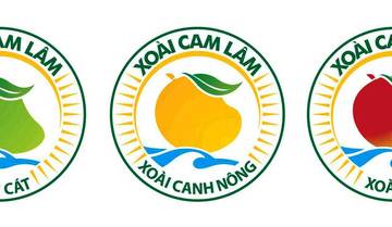 Cục Sở hữu trí tuệ cấp ‘Nhãn hiệu chứng nhận xoài Cam Lâm’