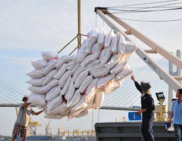 Xuất khẩu gạo giảm kỷ lục trong gần 10 năm qua
