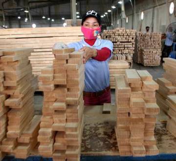 Doanh nghiệp gỗ bị ‘treo’ cả ngàn tỷ tiền hoàn thuế
