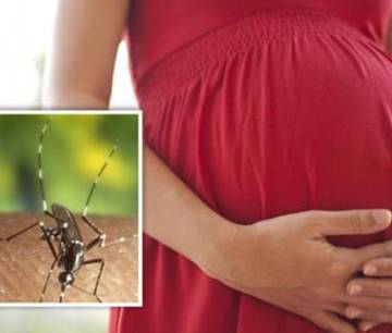 TPHCM đã có 9 thai phụ bị nhiễm virus Zika