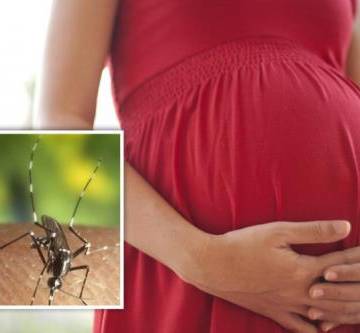 TPHCM: Thêm một thai phụ nhiễm Zika, 23/24 quận, huyện có ca bệnh