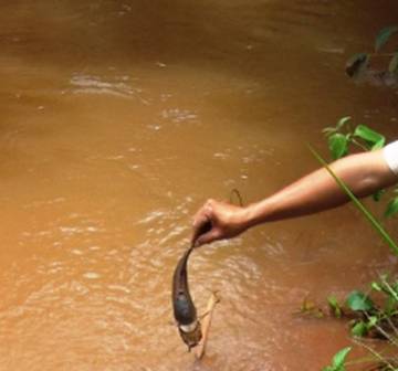 Yêu cầu Công ty Nhôm Đắk Nông – TKV chấm dứt xả nước thải vào suối Đắk Yao