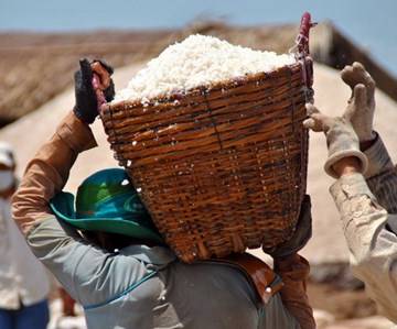 Xuất cấp 1.500 tấn muối ăn hỗ trợ dân vùng ngập Hà Tĩnh