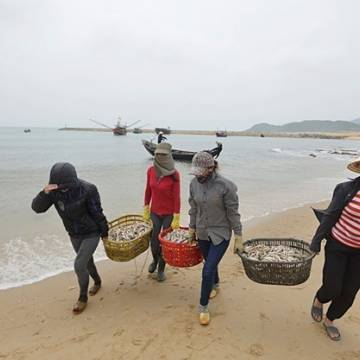 Vụ Formosa: Tiếp tục ngưng đánh bắt tầng đáy từ 20km trở vào bờ biển miền Trung
