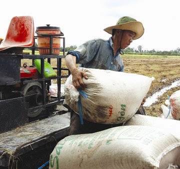 Năm 2017, xuất khẩu gạo còn khó khăn hơn