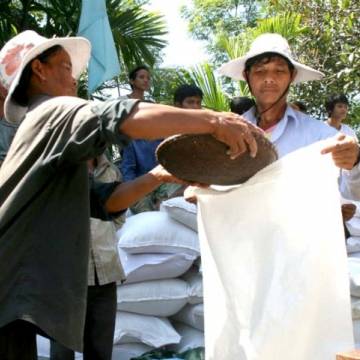 10 tỉnh xin hỗ trợ gạo cứu đói dịp Tết Nguyên đán Đinh Dậu