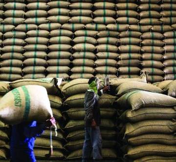Thái Lan bán đấu giá gần 3 triệu tấn gạo