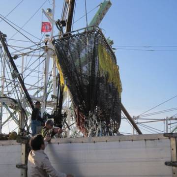 Doanh nghiệp Nhật muốn đẩy mạnh xuất khẩu thủy sản vào Việt Nam