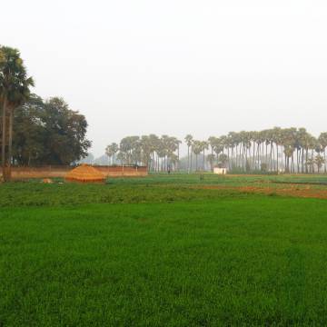 Sujata, làng mang tên thôn nữ cúng cháo sữa