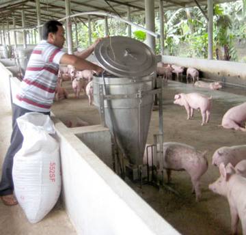 ‘Chưa bao giờ ngành chăn nuôi lợn gặp khó như hiện nay’