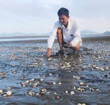 Chưa xác định được nguyên nhân hải sản chết hàng loạt ở Kiên Giang