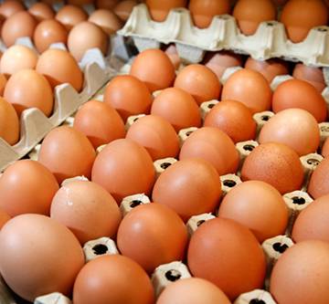 Giá trứng gà rớt mạnh