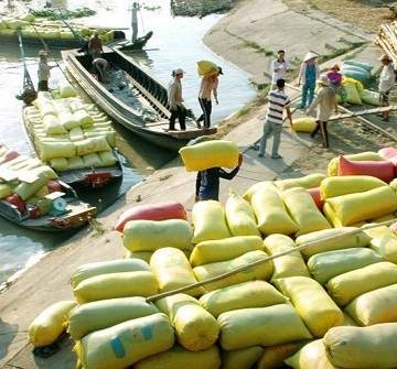 Dự thảo sửa đổi Nghị định 109 bãi bỏ nhiều ‘điều kiện’ xuất khẩu gạo