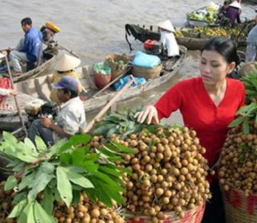 Tại sao nông sản Việt ‘rớt từ vòng gửi xe’ khi tìm đường xuất khẩu?