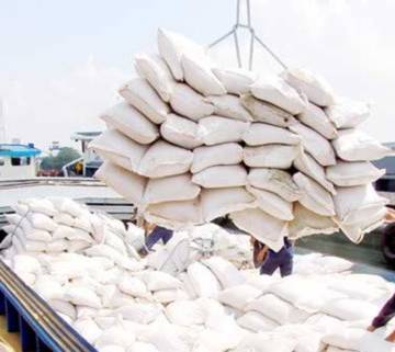 Giá gạo xuất khẩu cao nhất trong gần 3 năm qua