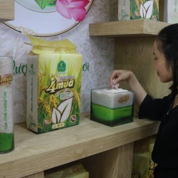 Diễn đàn Mekong Connect 2017: xây dựng thương hiệu gạo Việt từ hạt giống