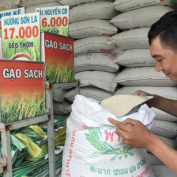 Gạo Việt đang ngày càng lép vế trước gạo Cam, gạo Thái