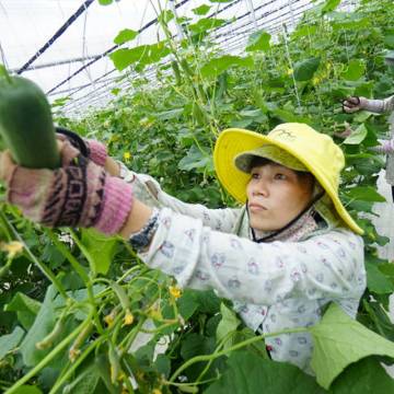 Lê Minh Hoan: Làm gì để tái cơ cấu nông nghiệp thành công?