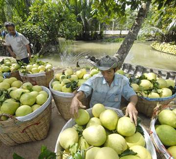 Logistics, ‘tử huyệt’ của nông sản Việt Nam