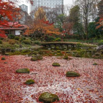 Tottori mùa lá phong đỏ