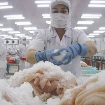 Thận trọng khi mở rộng xuất khẩu cá tra vào thị trường Trung Quốc