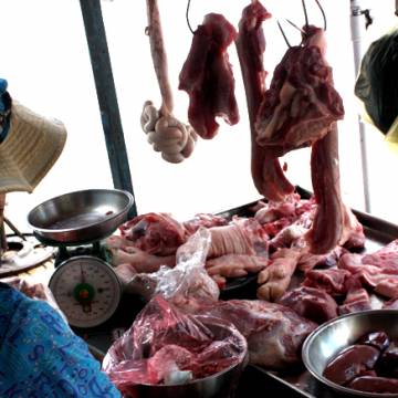 100% mẫu thịt được Viện Pasteur TP.HCM xét nghiệm nhiễm E.coli