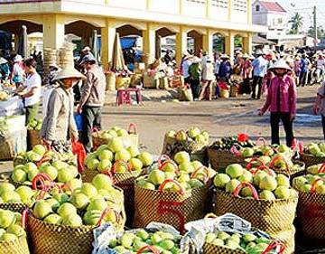 75% rau quả Việt Nam xuất sang Trung Quốc