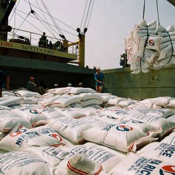 Quy định mới về kinh doanh xuất khẩu gạo