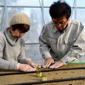 Mô hình nông nghiệp chia sẻ cho người già Nhật Bản