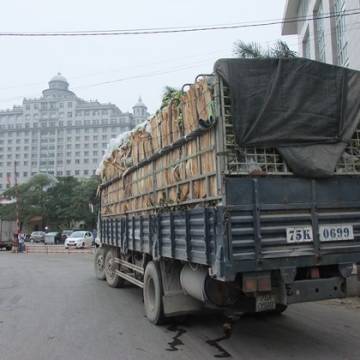 Từ 1/4, rau củ quả Việt Nam xuất sang Trung Quốc phải có nhãn mác xuất xứ