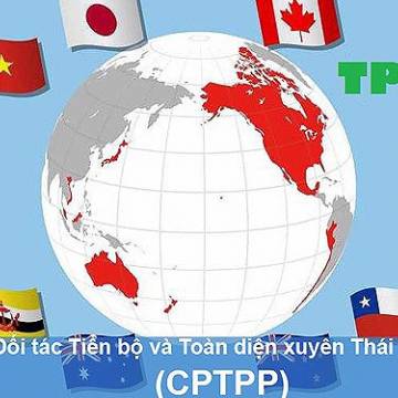 CPTPP và những quan ngại trước giờ G