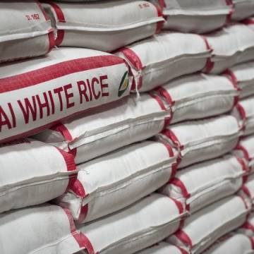Thái Lan phát triển 12 giống lúa mới để thúc đẩy xuất khẩu gạo