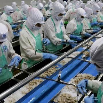 EC kiểm tra việc khắc phục ‘thẻ vàng’ về thủy sản tại Việt Nam