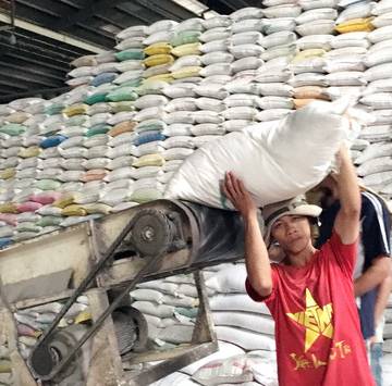 Xuất khẩu gạo giảm 10,4% giá trị, dự báo còn tiếp tục khó khăn