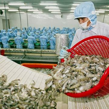 Trung Quốc sẽ là thị trường lớn nhất của thủy sản Việt Nam