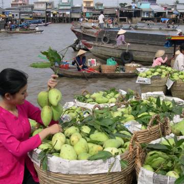 Trái cây Tiền Giang làm gì để chiếm được một nửa thị phần Đà Nẵng?