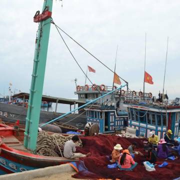 Hải sản Việt Nam bị ‘thẻ vàng’ thêm 6 tháng
