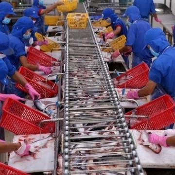 VASEP: Kiểm soát chặt chất lượng cá tra xuất khẩu sang Trung Quốc