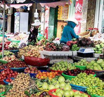 Xuất khẩu trái cây: số liệu hoàng tráng, nhưng là xuất khẩu giùm cho Thái?