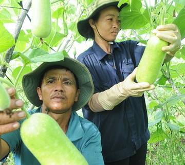 Hàn Quốc kiểm soát chặt hàng nông sản nhập khẩu