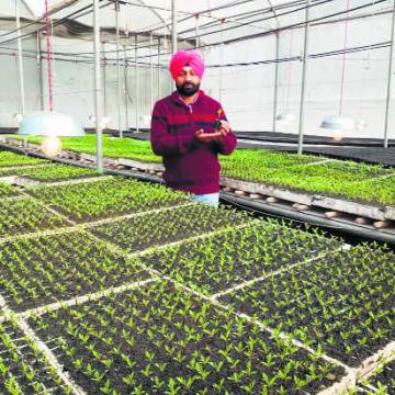 Startup làm nông kiểu khác ở Ấn Độ