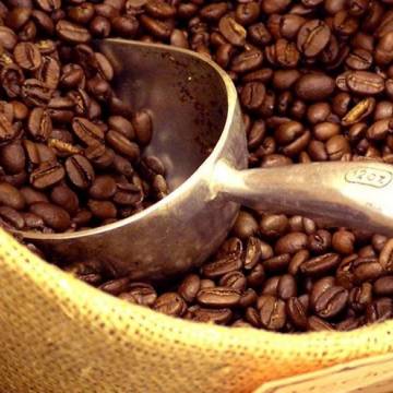 Brazil dự báo sản lượng cà phê cao kỷ lục trong năm 2018